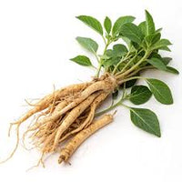 Ashwagandha Root