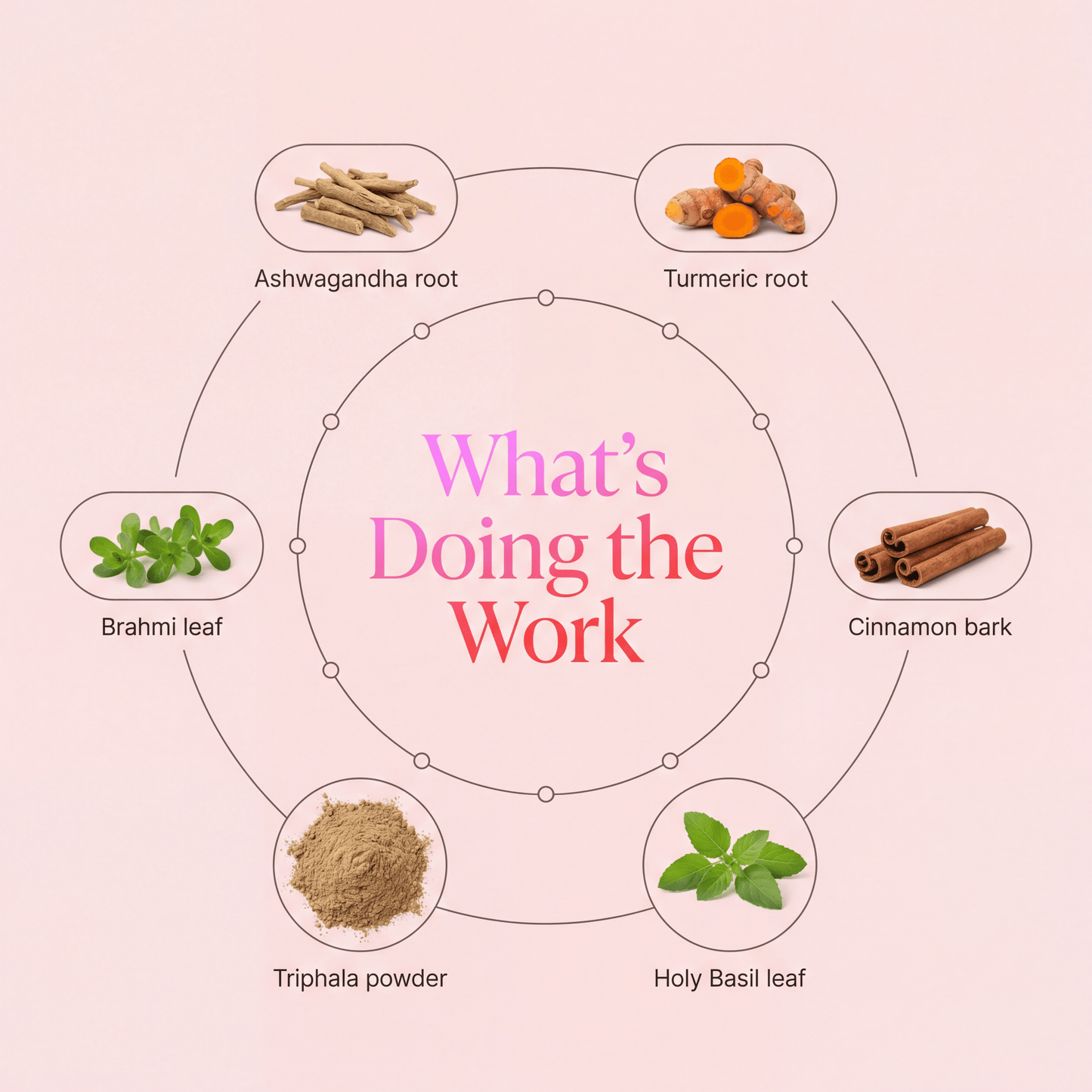 Downphase Blend - Root + Petal