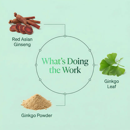 Midlight Blend - Root + Petal